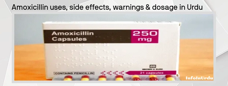 آموکسسلن Amoxicillin کا استعمال ، ضمنی اثرات ، انتباہات اور خوراک