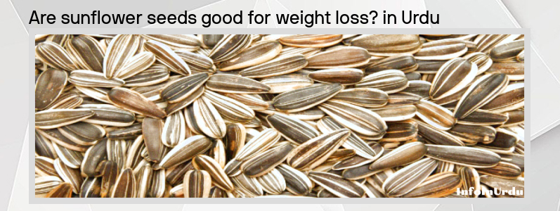 کیا سورج مکھی کے بیج  Sunflower Seeds وزن میں کمی کے لیے اچھے ہیں ؟