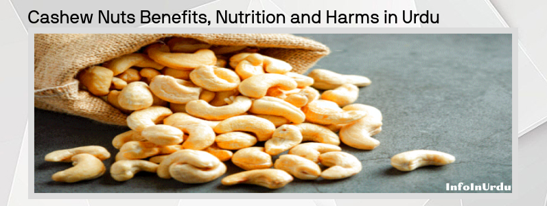 کاجوCashew  کے فوائد، غذائیت اور نقصانات