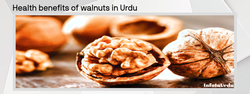 اخروٹ Walnuts کے صحت سے متعلق فوائد