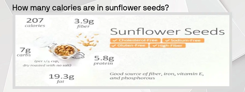 سورج مکھی کے بیجوں Sunflower Seeds  میں کتنی کیلوری ہوتی ہے ؟