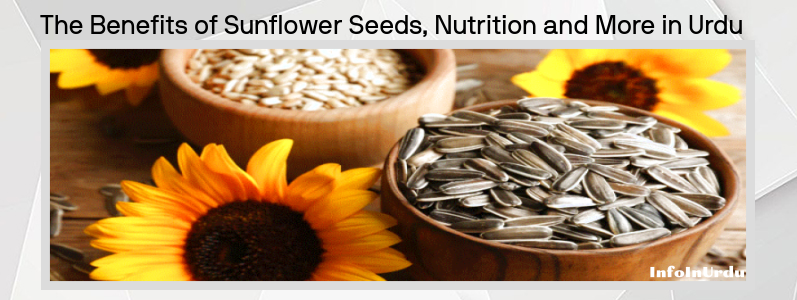 سورج مکھی Sunflower Seeds کے بیج  کےفوائد، غذائیت اور مزید معلومات