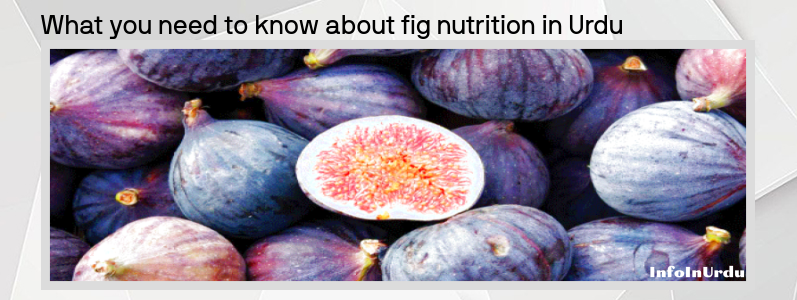 انجیر Figs کی غذائیت کے بارے میں آپ کو کیا جاننے کی ضرورت ہے